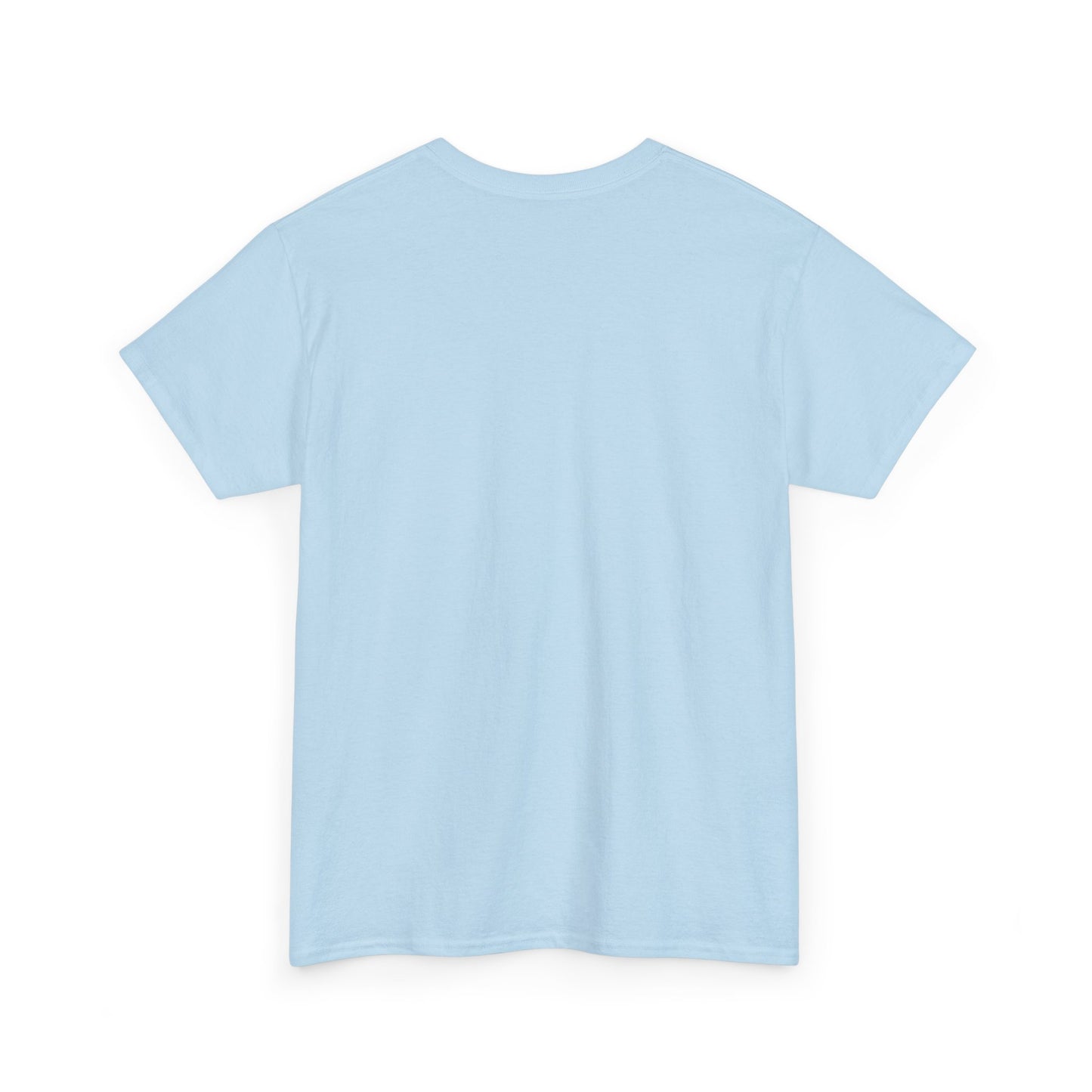 Copy of Freedom 250 tshirt, America’s Birthday Shirt, 4th of July tshirt