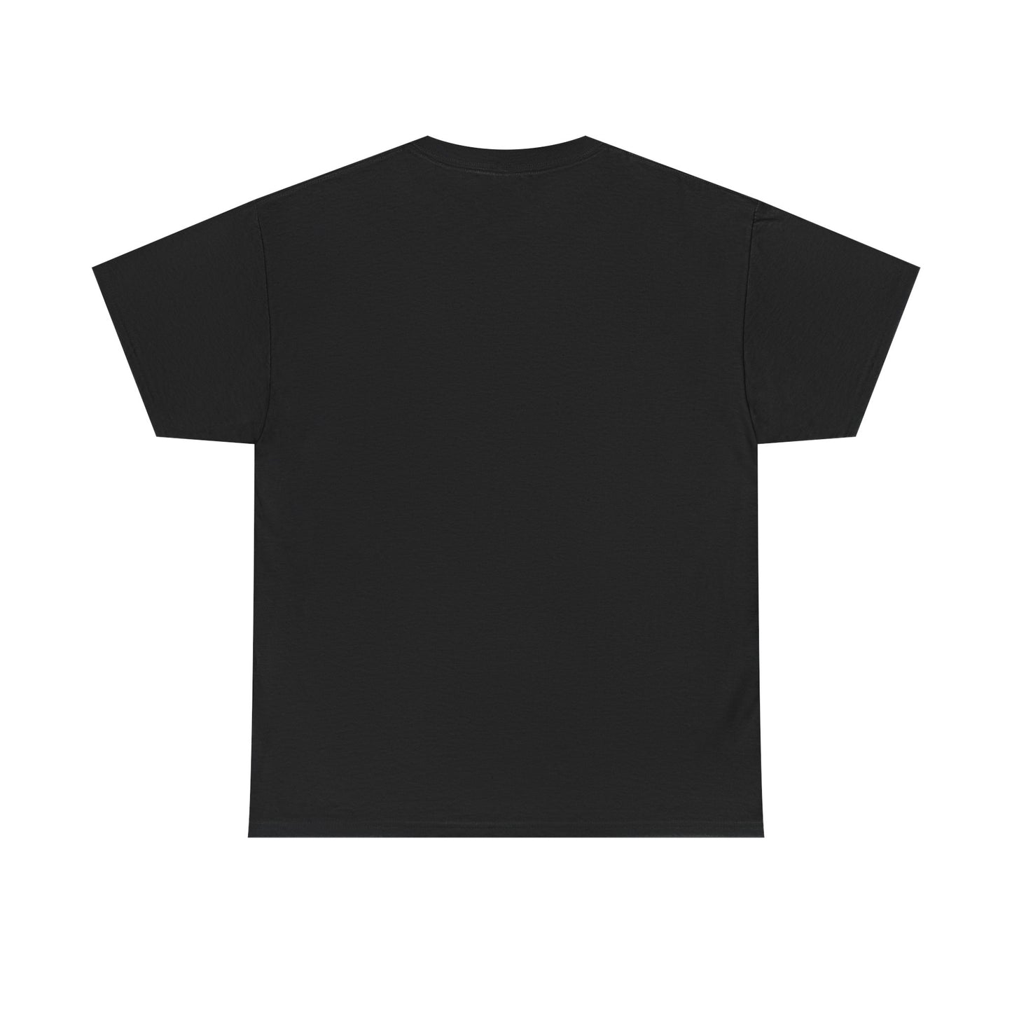 Copy of Freedom 250 tshirt, America’s Birthday Shirt, 4th of July tshirt