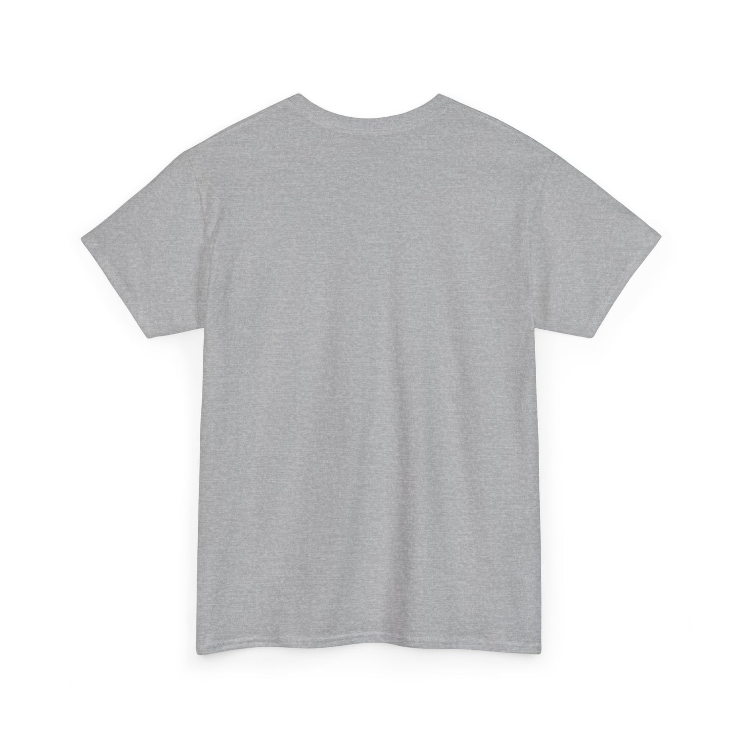 Copy of Freedom 250 tshirt, America’s Birthday Shirt, 4th of July tshirt